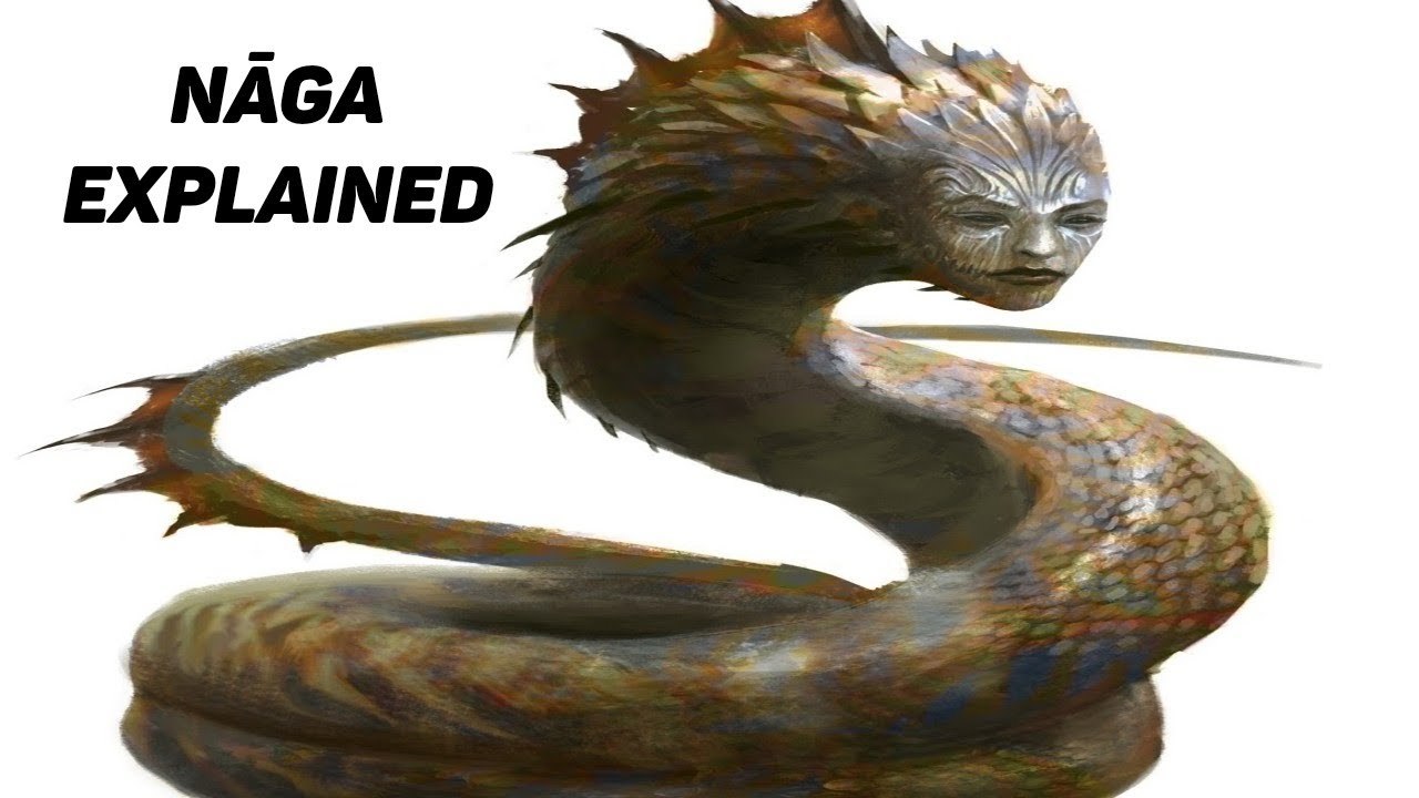 Naga - Nagini - Nagin - Nagi | Nāga Indonesian Mythology: Buddhist & Hindu Mythology And Folklore #2