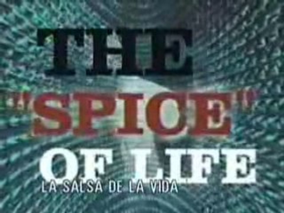 Limp Bizkit - Fred Durst - Love Chain part 3 of 4