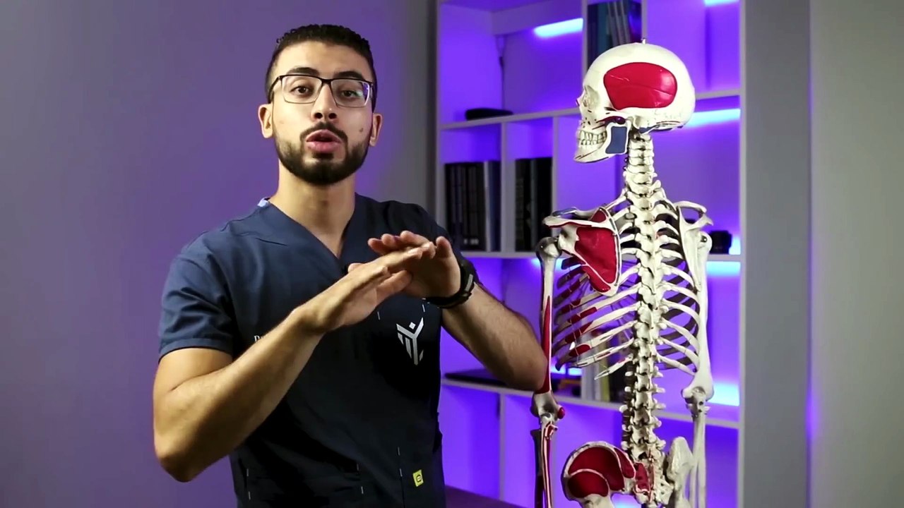 037 - طرقعة الظهر والمفاصل ما بين الحقيقة والخرافات ｜ احذر أن تصاب بالشلل من سمكرة البنى آدمين