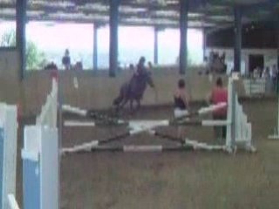 Concours CSO au Domaine du Treuil [le 29 Juin 2008]