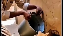 Cat Reflexes Are Faster Than Your Blink ⚡🐱😲