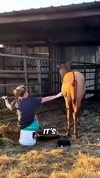 Horses' Darkest Secrets Revealed! 🐴🤯 Things They'd NEVER Tell Humans!
