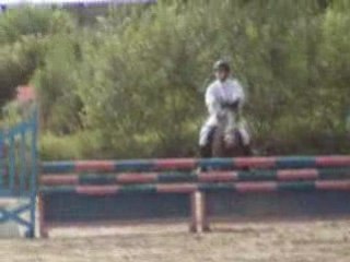 28 juin 2008 0RVEAU CL  4ans