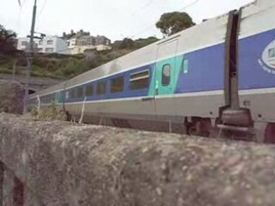 le ter-gv
