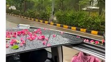 Amazing video clips funny