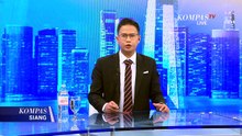 Seekor Hiu Macan Tutul Prediksi Brasil Menang atas Norwegia pada Babak 16 Besar Piala Dunia 2026