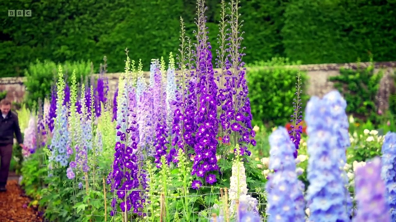 Gardeners World S59E16