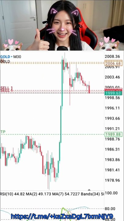 Gold Support Test