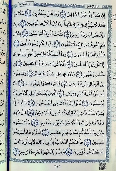 صفحة (373)