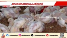 ചിക്കൻ തൊട്ടാൽ പൊള്ളും... കുതിച്ചുയർന്ന് കോഴിത്തീറ്റ വില; അടിതെറ്റി കോഴികർഷകർ