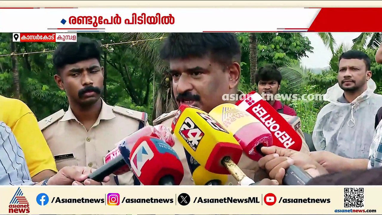 കുമ്പളയിൽ വൻ കഞ്ചാവ് വേട്ട; കാറിൽ കടത്തിയ 30 കിലോ കഞ്ചാവ് പിടിയിൽ