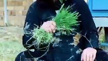 Funny 🤣 reel funny videos funny shorts funny comedy of the worlds