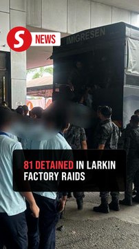 Immigration Dept detains 81 people during raids at two Larkin factories
