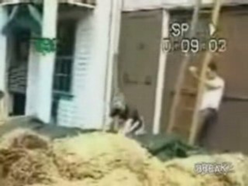 Chick Faceplants Off Ladder