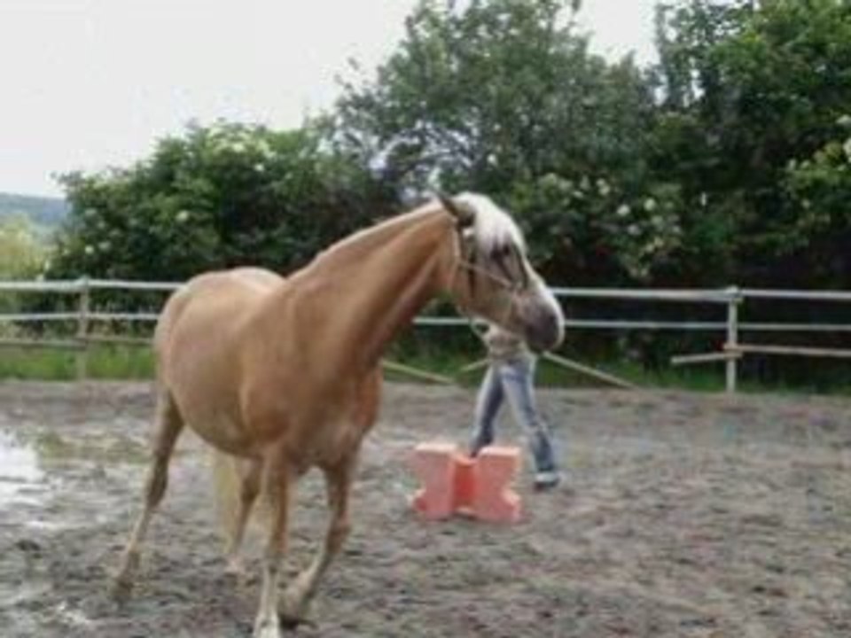 Les coucher de Jarny