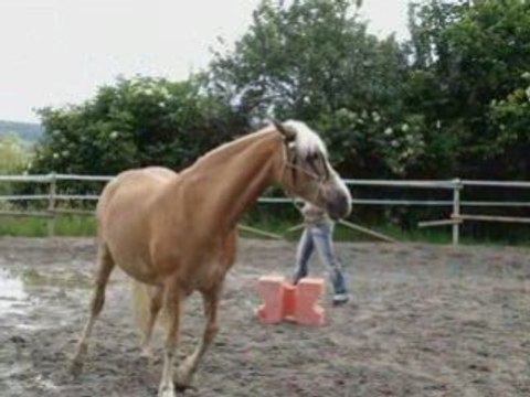 Les coucher de Jarny