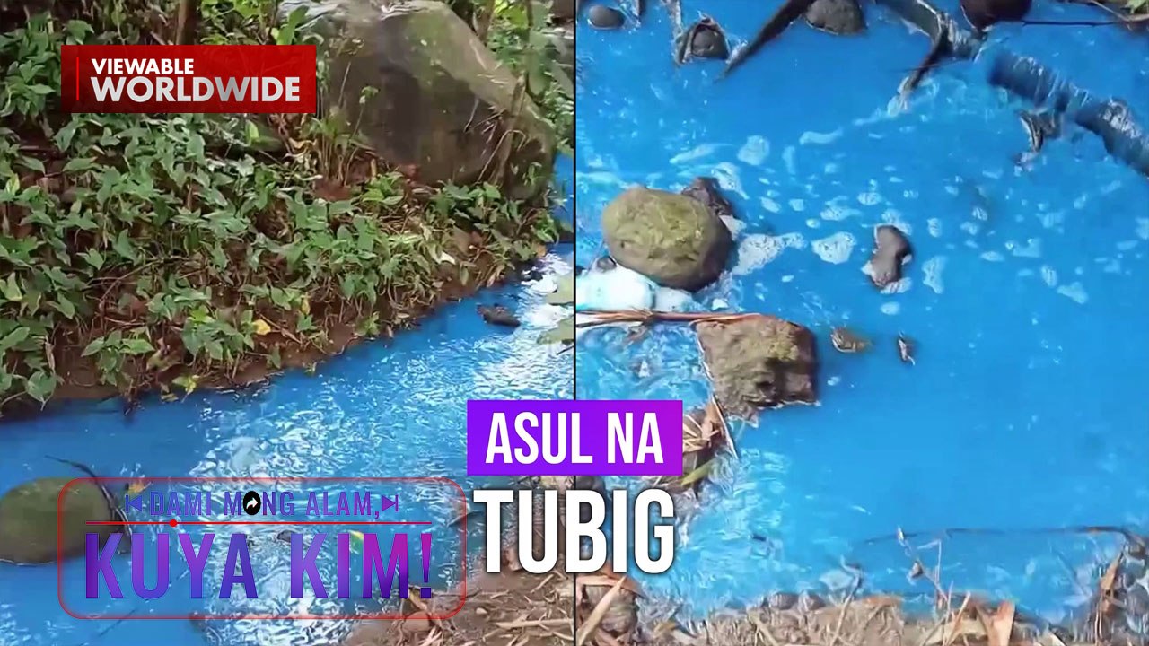 Asul na likido, tumagas sa isang ilog at sapa! | Dami Mong Alam, Kuya Kim!