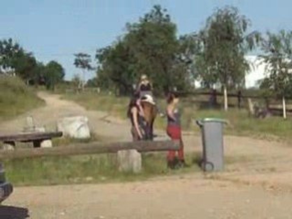 IMGP1136