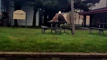 Rencontre inattendue : un renard et un pygargue en "réunion" face à face en Alaska