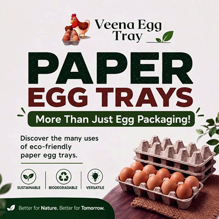 Paper Egg Tray Uses | Eco-Friendly Paper Egg Tr...