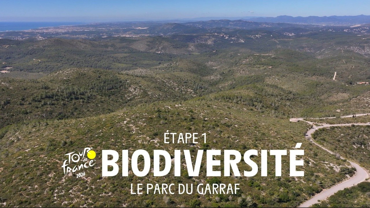 Garraf Park: A Natural Sanctuary on the Outskirts of Barcelona - Tour de France 2026