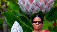 A Amma Aa Aavu