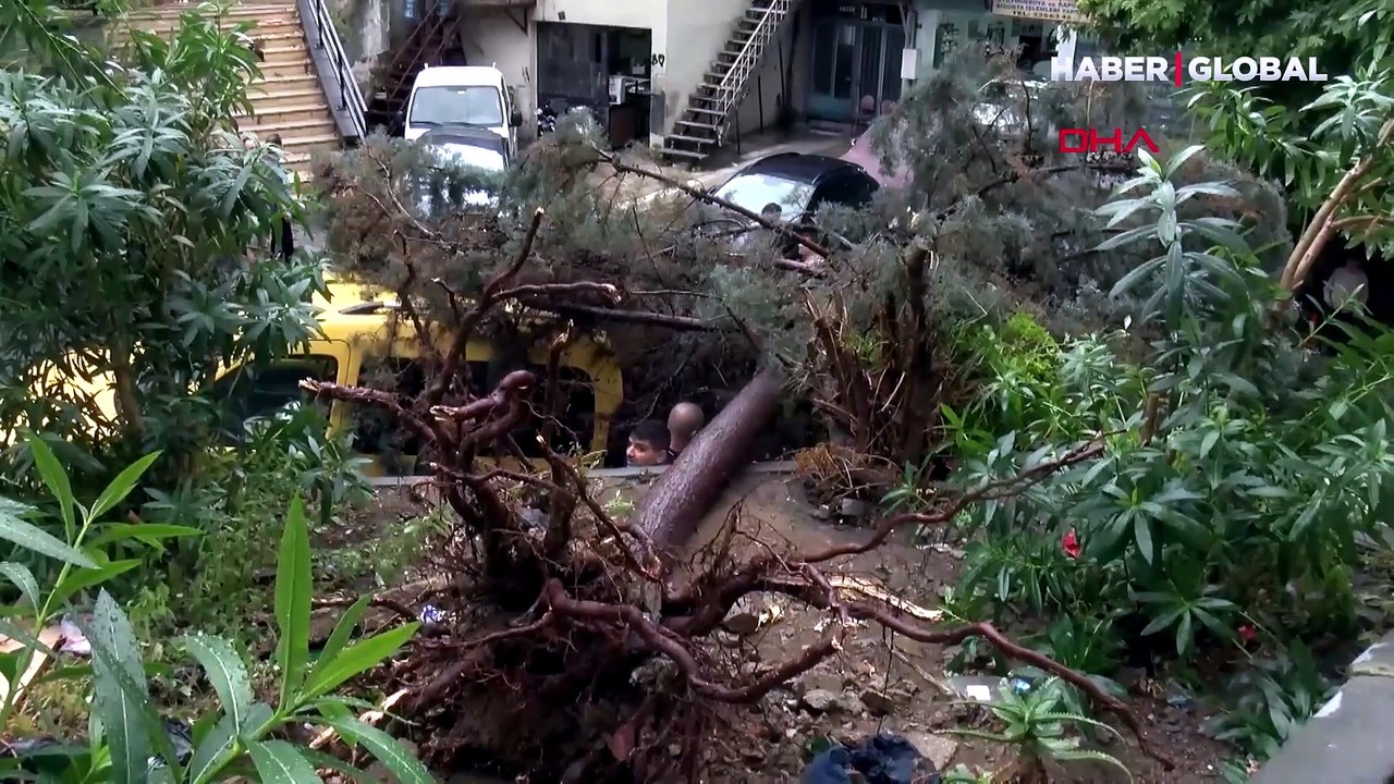Şişli'de sağanak; 2 ağaç otomobilin üzerine devrildi
