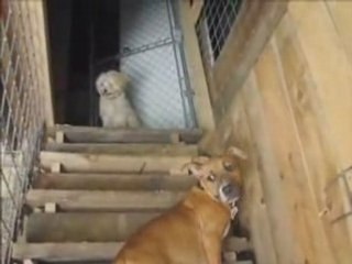 Explore Inside the Barn at Glencadia 🐴