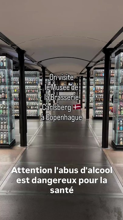 On visite le Musée de la Brasserie Carlsberg 🇩🇰 à Copenhague. * Attention l'abus d'alcool est.mp4