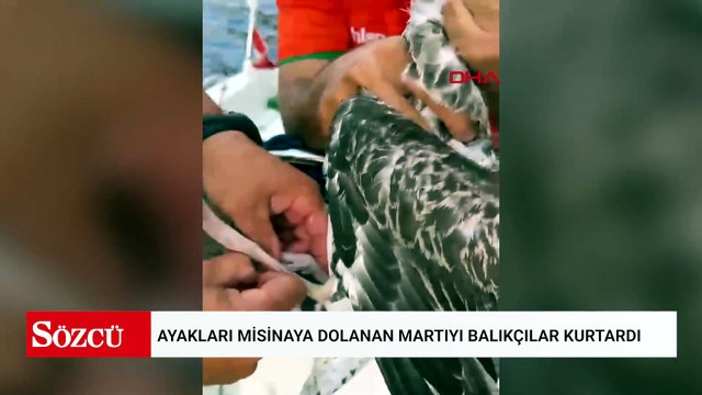 Ayakları misinaya dolanan martıyı balıkçılar kurtardı