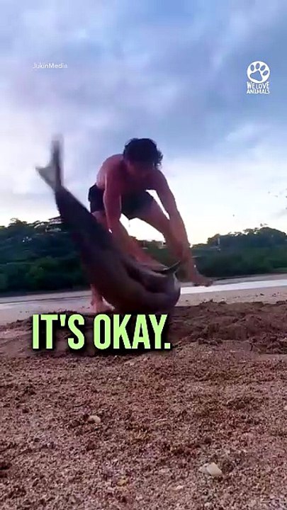 Stranded Dolphin Was Running Out of Time 🥺🐬#DolphinRescue #MarineLife #AnimalRescue #WildlifeRescue #OceanLife #SeaAnimals #AnimalLovers #RescueStory #Hope #Compassion #Nature #Heartwarming #SavingAnimals #YouTubeShorts #ViralShorts