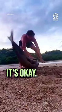 Stranded Dolphin Was Running Out of Time 🥺🐬#DolphinRescue #MarineLife #AnimalRescue #WildlifeRescue #OceanLife #SeaAnimals #AnimalLovers #RescueStory #Hope #Compassion #Nature #Heartwarming #SavingAnimals #YouTubeShorts #ViralShorts