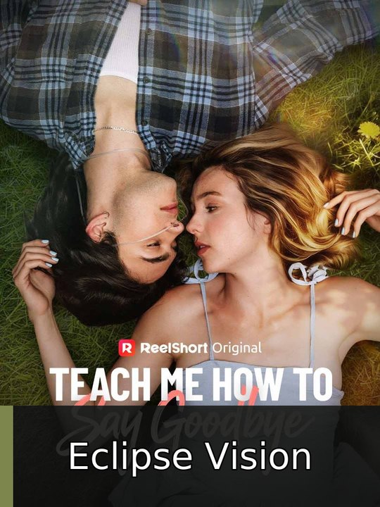 Teach Me How to Say Goodbye