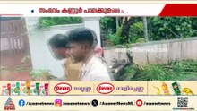 കണ്ണൂരിൽ ഓട്ടോയുടെ മുകളിൽ മരം വീണു; യാത്രക്കാർക്ക് പരിക്കില്ല