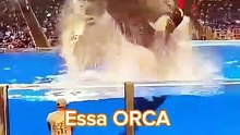 Louca? A verdade vai Emocionar #animais #natureza