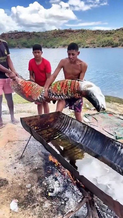 GIANT RIVER MONSTER Amazon Fish