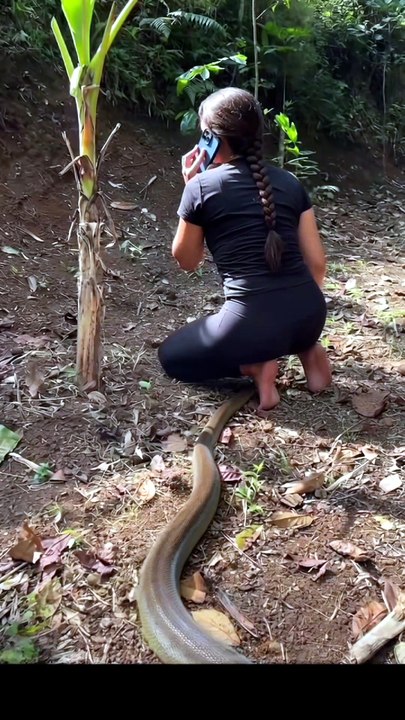 Nature scene 😱