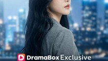 Take The Wheel: Her Divorce, Her Comeback  FULL MOVIES ENGLISH SUB