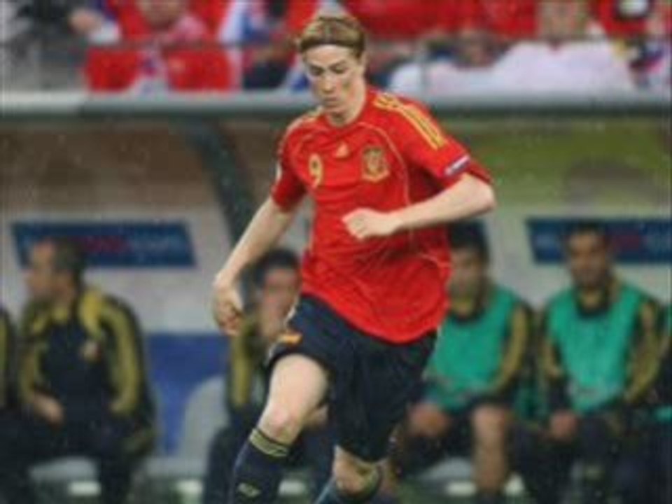 euro 2008 finale - allemagne 0 - 1 espagne 29/06/2008