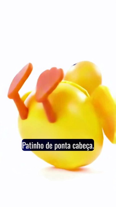 Lá vem pato