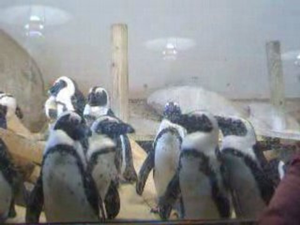Photo 015