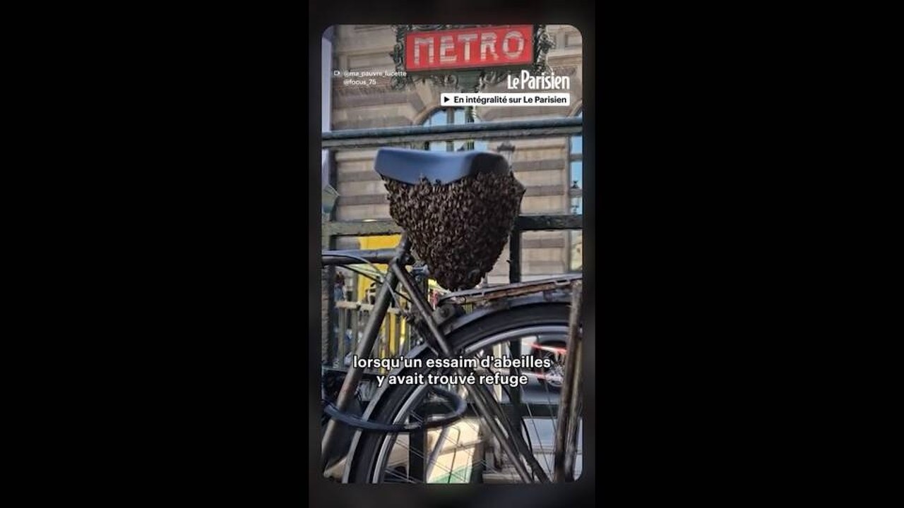 Il récolte le miel des abeilles qui avaient envahi son vélo