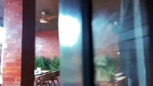 Black Eagle Luxury, Lounge, Bar, Karaoke, Bistro, Resto, Cirebon (Company Profile)