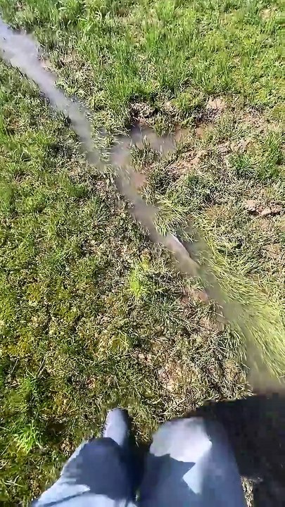 Fish Trying to Escape, But There’s No Way Out!