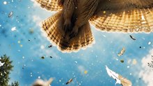 Witness Pure Magic: Majestic Owl Takes Flight! ✨