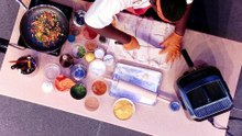 The Essence Cookoff: Beignet Battle
