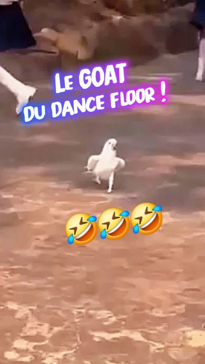 Le GOAT du dance floor : tu peux pas test !