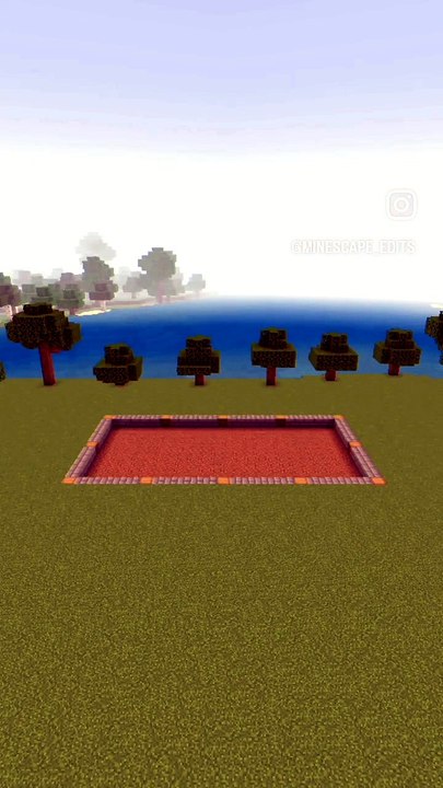 1000016591