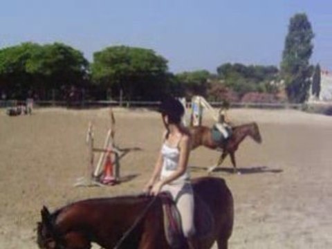 Séance du 28 juin 2008