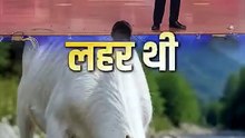पशुबलि || आचार्य प्रशांत
